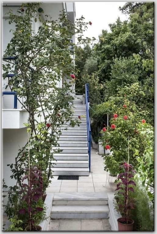 Anni's Cozy 50m From The Apartment